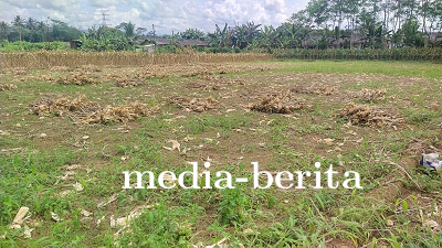 Lahan Demplot Kodim 0704 Banjarnegara Siap Tanam 