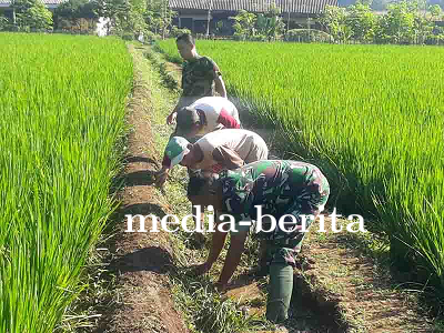 Pembersihan Saluran Irigasi Tersier oleh Babinsa dan Kelompok Tani Tiga Serangkai di Desa Binorong