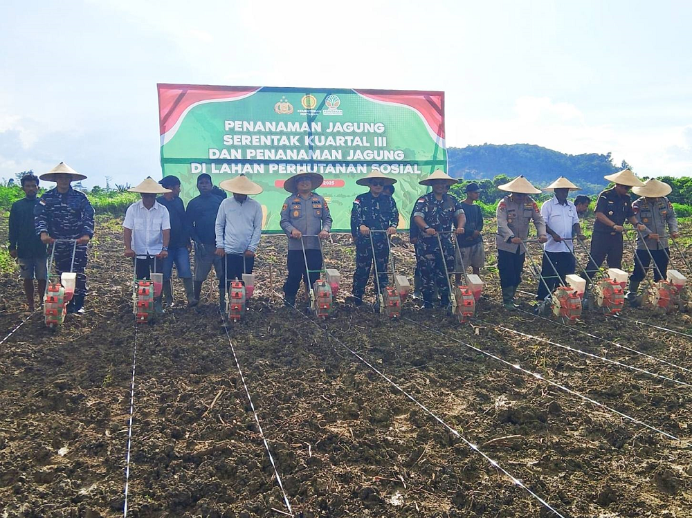Wujudkan Ketahanan Pangan Nasional, Kodim Jayapura Dukung Penanaman Jagung Serentak di Lahan Perhuta