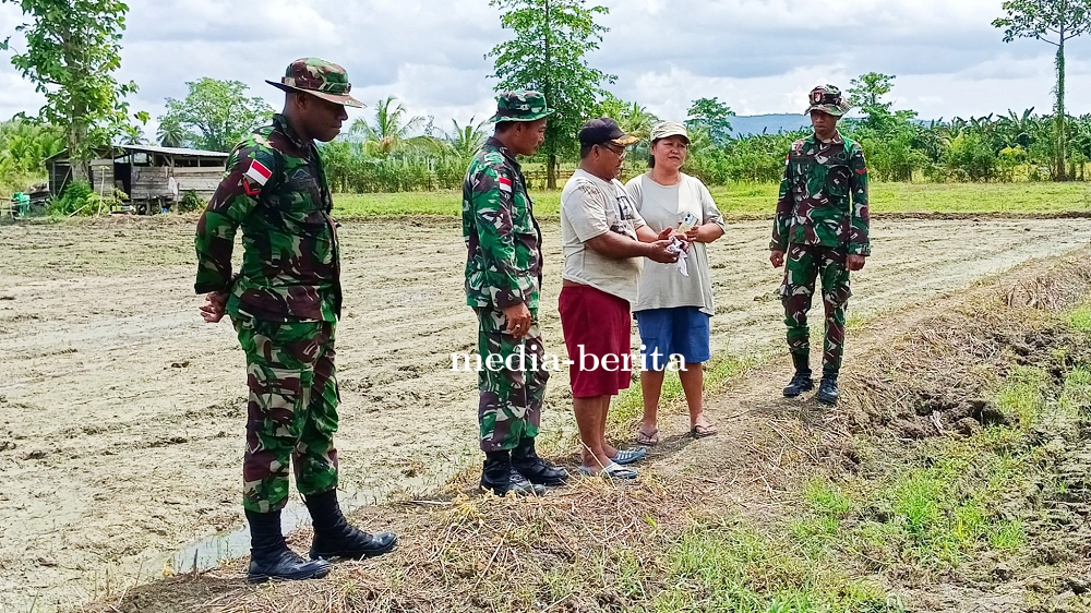 Perkuat Kemanunggalan TNI-Rakyat, Satgas Pamtas KM 31 Dampingi Petani di Arso Barat