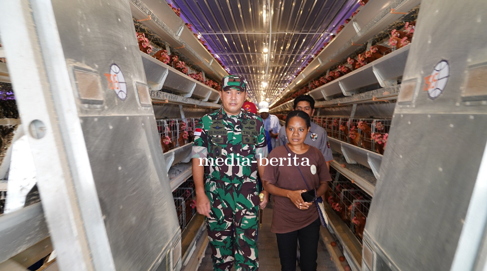 Dukung Ketahanan Pangan, Danrem 172/PWY Kunjungi Peternakan Ayam di Keerom