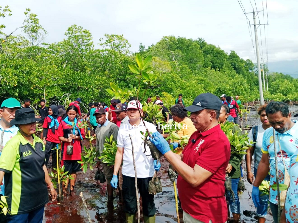 Selamatkan Teluk Youtefa Lewat Gerakan Tanam 100 Bibit Mangrove Peringati Hari Bakti RRI