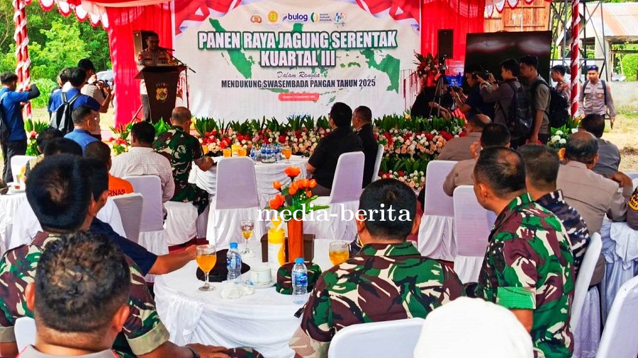 Panen Raya Jagung di Kampung Aib Bukti Sinergi TNI-Polri Dukung Ketahanan Pangan Papua