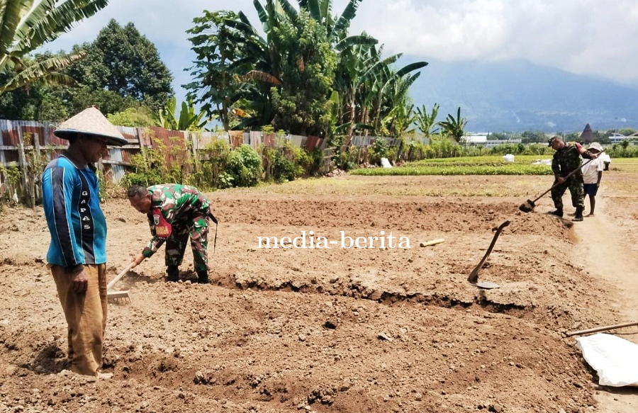 Wujudkan Ketahanan Pangan, Babinsa Koramil 1701-01/Sentani Turun ke Kebun Bangkitkan Semangat Bertan