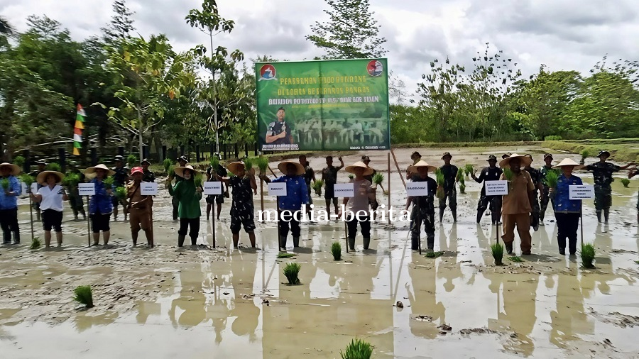 Tanam Padi Perdana Yonif TP 815/WGT, Kodim 1701/Jayapura Siap Berkolaborasi Mantapkan Ketahanan Pang