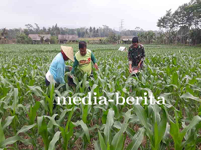 Peran Positif Babinsa Di Desa Binorong