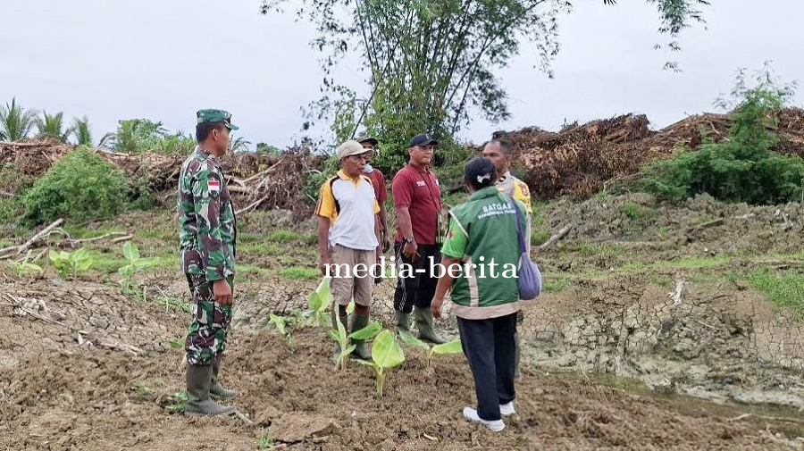 20 Hektar Lahan Siap Cetak Sawah, Babinsa dan DPR Pastikan Akses Jalan