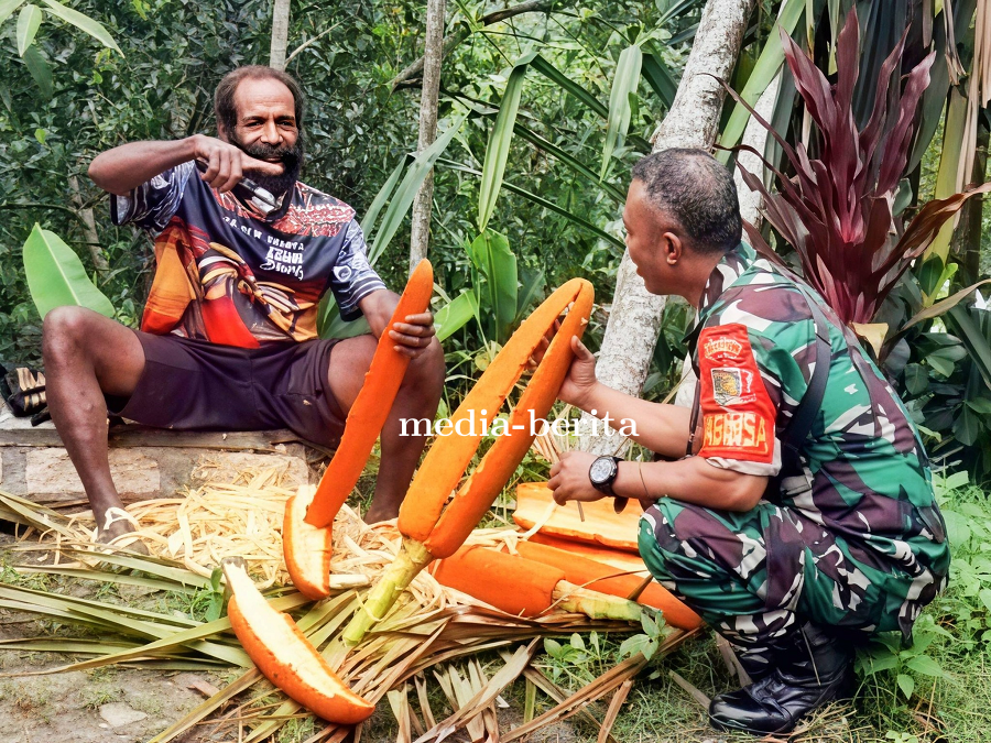 Dukung Komoditas Unggulan Papua, Babinsa Komsos dengan Petani Buah Merah