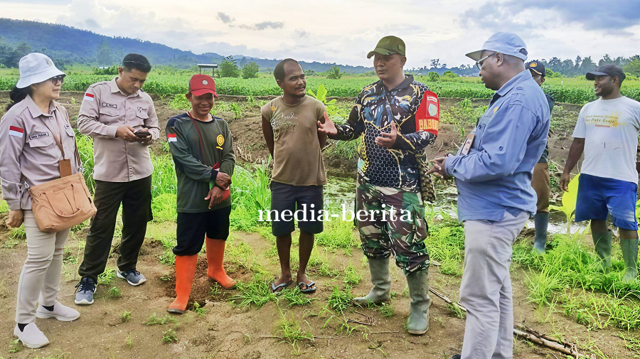 Babinsa Skanto Dampingi BRMP Papua Tinjau Kesiapan Cetak Sawah Rakyat