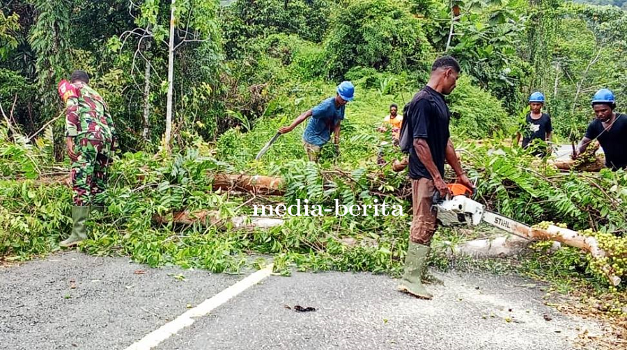 Pohon Tumbang Tutup Jalur Yafi-Web, Babinsa Bersama Warga Turun Buka Akses