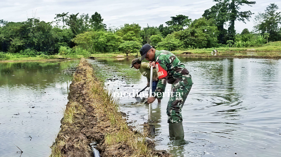 Serda Jodi dan Petani Kompak Siapkan Lahan untuk Tanam Padi