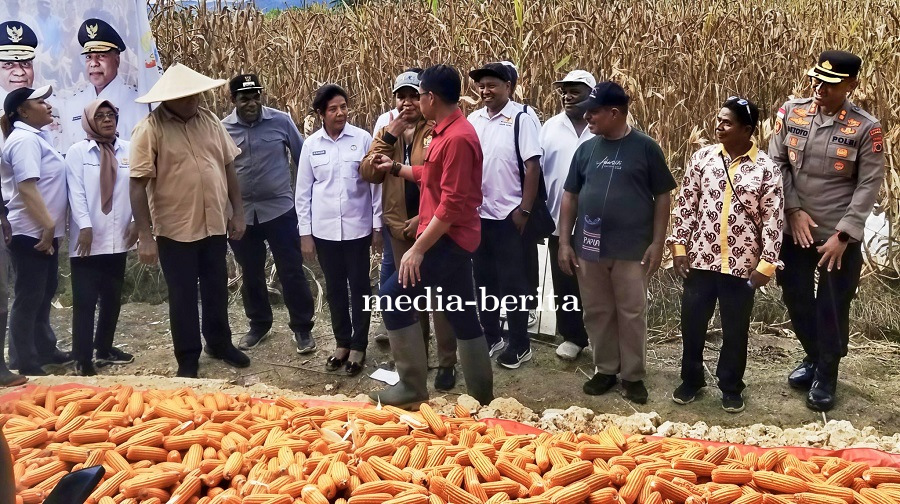 Panen Raya Jagung Nasional di Keerom, Danramil Arso: TNI Siap Kawal Program Ketahanan Pangan