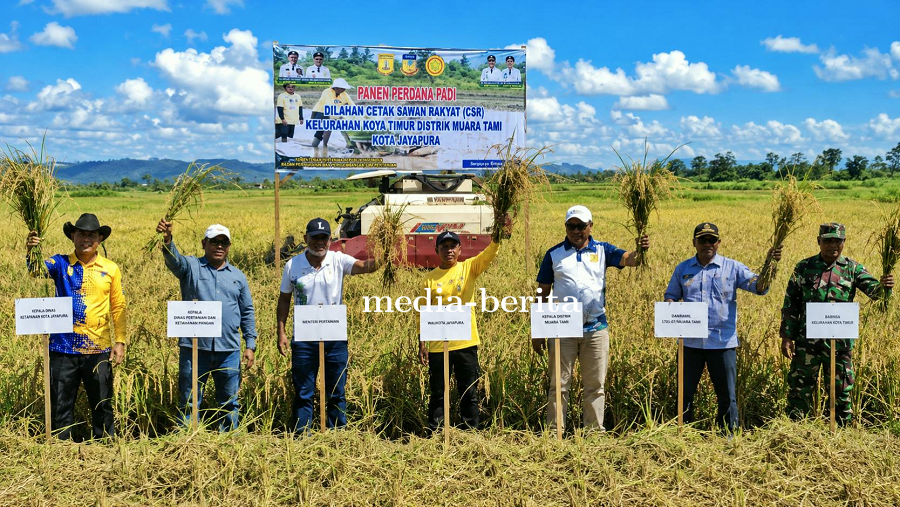 Menuju Papua Mandiri Pangan, Pemerintah Targetkan Perluasan Lahan Hingga Perbatasan RI-PNG