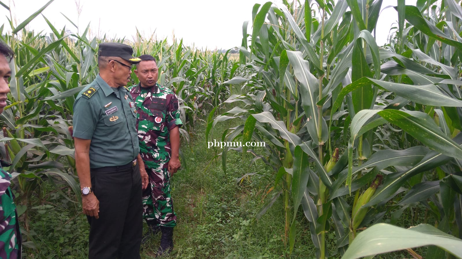 Pasi Wanwil Korem 071/Wijayakusuma Tinjau Lahan Demplot Kodim Purbalingga
