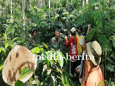Danramil 17 Wanayasa Dialog Santai dengan Petani Kopi di Kebun Warga