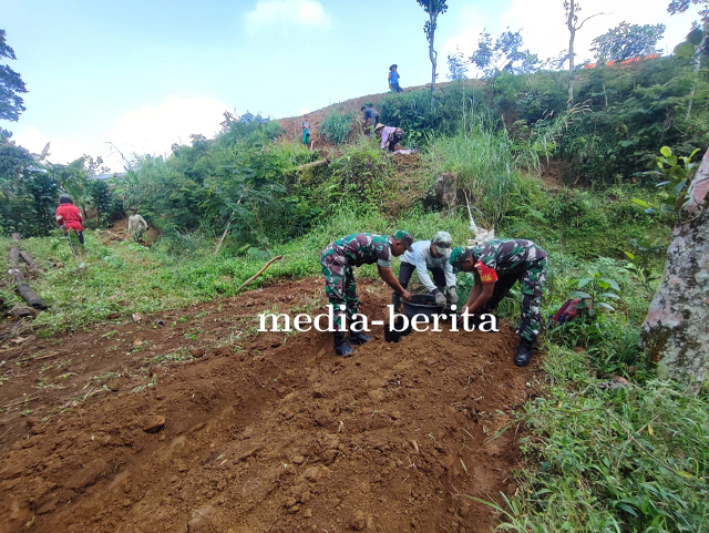 Komsos Babinsa Koramil 16 Pejawaran Bantu Petani Tanam Bibit Kopi Arabika