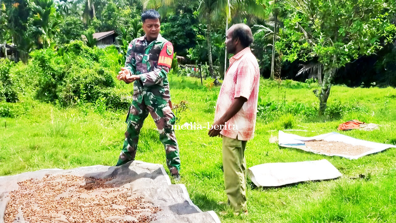 Babinsa Kemtuk Gresi Jalin Komunikasi Sosial Dengan Petani Kopi