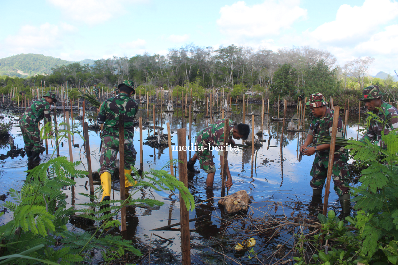 Cegah Erosi Dan Abrasi Pantai Kodim Jayapura Terus Canangkan Tanam Mangrove