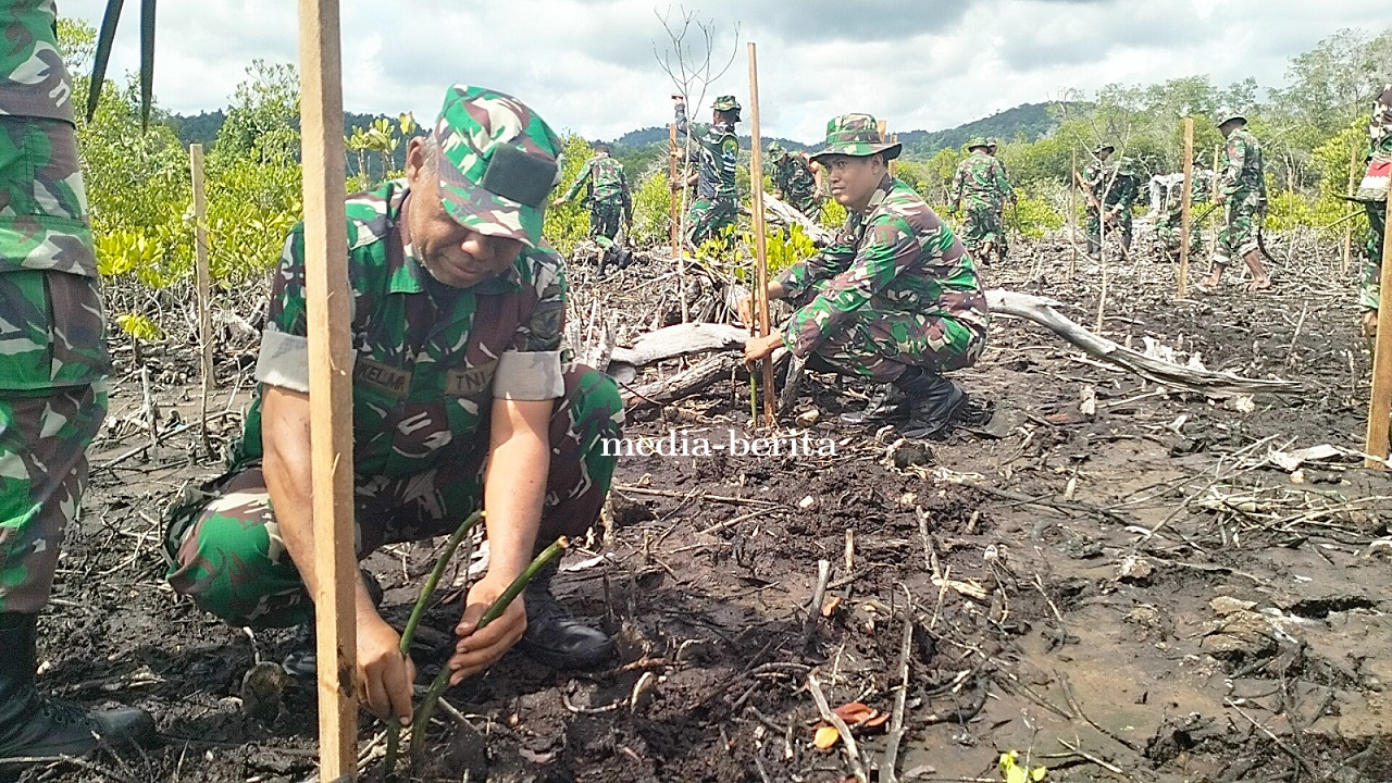 Minimalkan Risiko Bencana Kodim Jayapura Canangkan Penanaman 200 Bibit Mangrove