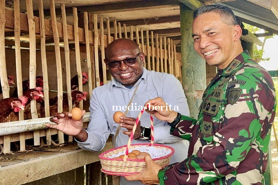 TNI Jadi Garda Terdepan, Momok KKB Papua Mayjen TNI Lucky Avianto Jadi Peternak Ayam Petelur