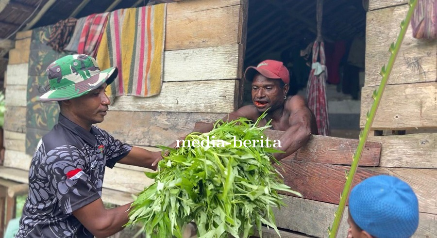Wujudkan Ketahanan Pangan, Prajurit Yonif TP 809/NTM Bagikan Hasil Panen Kangkung