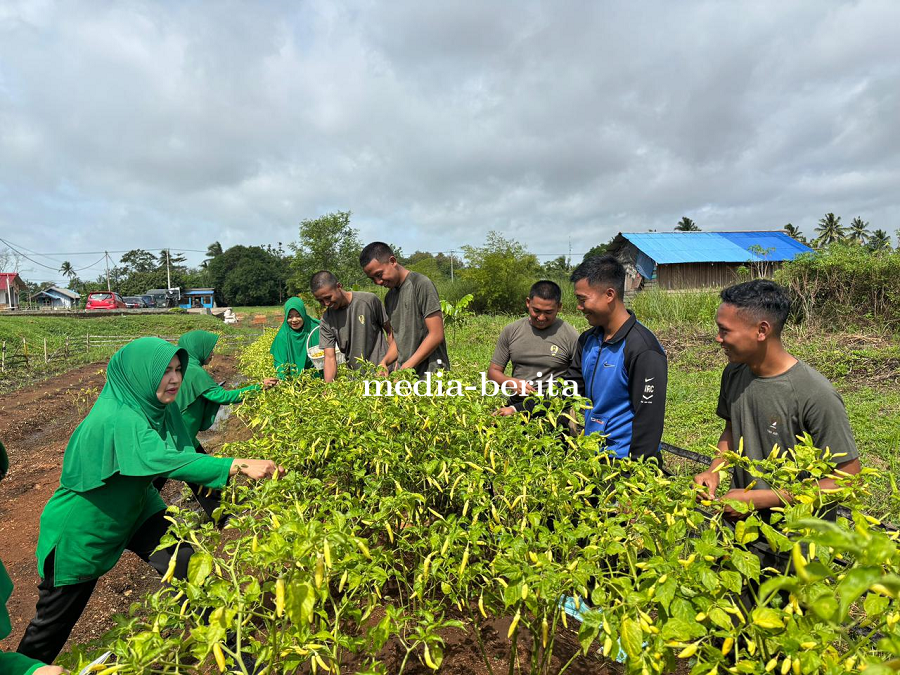 Dari Lahan Tidur Jadi Lahan Produktif, Danrem 174/ATW Panen Cabai Bersama Prajurit dan Persit