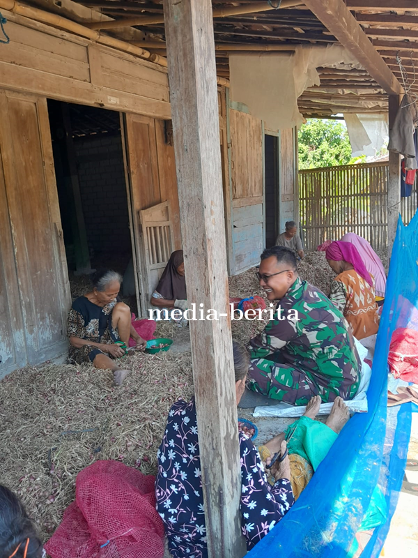 Dengan Komsos, Babinsa Kopda Khasan Motivasi Petani Bawang