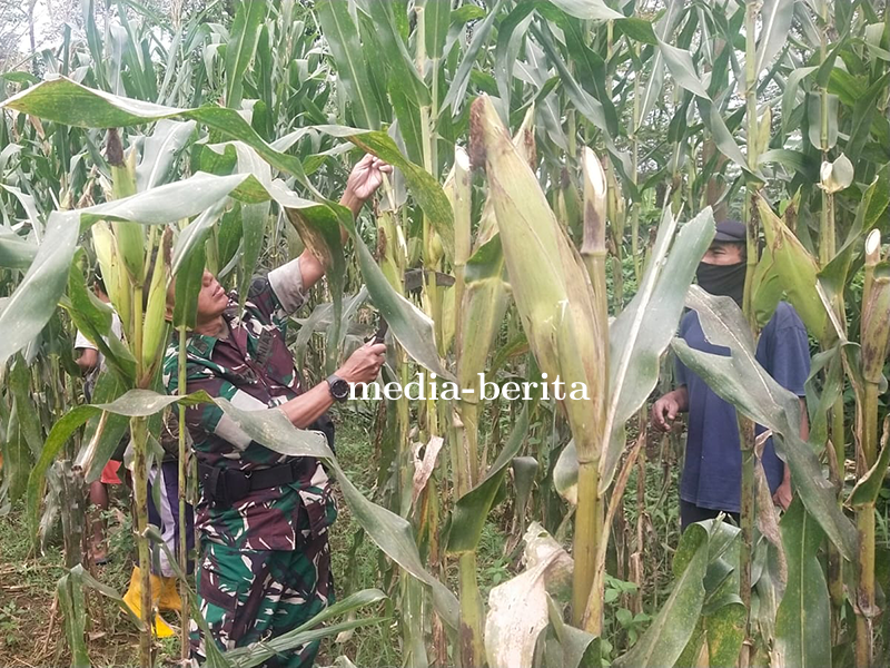 Program Unggulan Kodim 0704 Banjarnegara