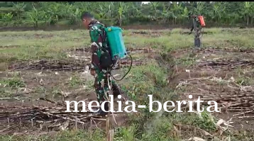 Pasca Panen, Kodim Tegal Siapkan Kembali Lahan Ketahanan Pangan