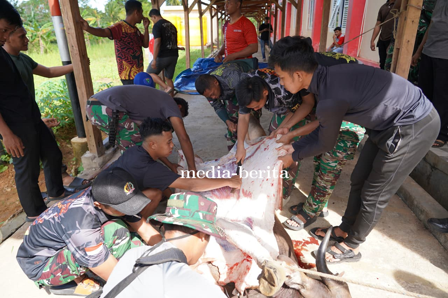 Danrem 174/ATW Serahkan Hewan Kurban, Wujud Kepedulian dan Semangat Berbagi di Hari Idul Adha
