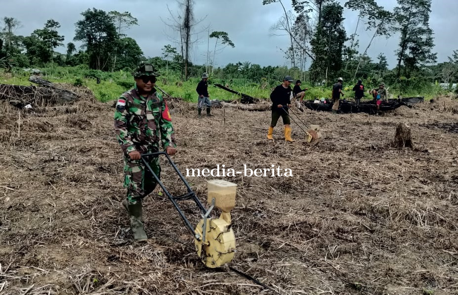 Tingkatkan Produktivitas Pertanian Babinsa Senggi Bersama PPL Lakukan Pendampingan Tanam Padi Kelomp